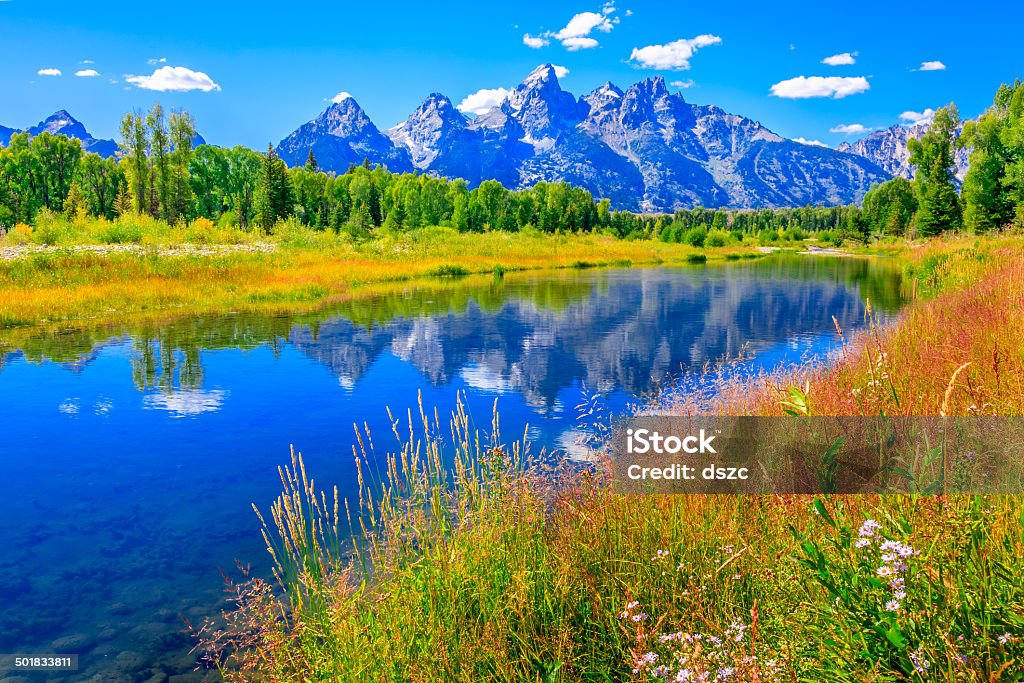 Grand Tetons mountains, wildflowers, summer, blue sky, water, Snake River Grand Tetons and Snake River from Schwabacher Landing. Grand Teton National Park. Near Jackson Hole, Wyoming USA Stock Photo