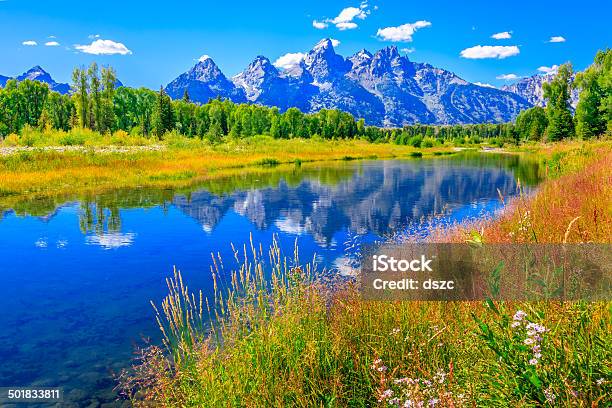 Grand Tetons Mountains Wildflowers Summer Blue Sky Water Snake River Stock Photo - Download Image Now