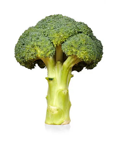 Fresh green broccoli on a white background