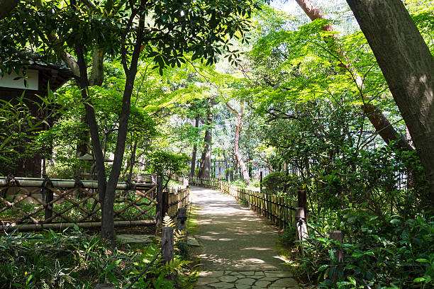 istock Promenade of the park 501835003