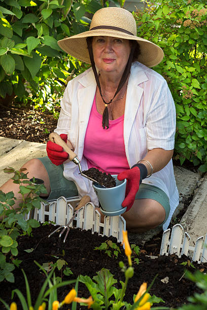 istock Senior lady doing yard work around the house 501835467
