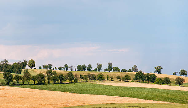 hill tierra con árboles en un paisaje rural - reclusion fotografías e imágenes de stock