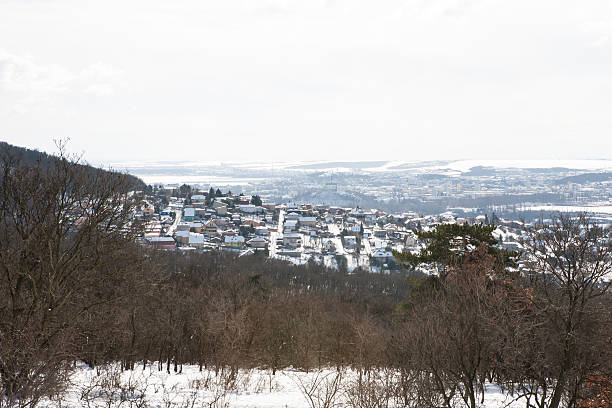 istock Neighborhood covered with snow 501843302