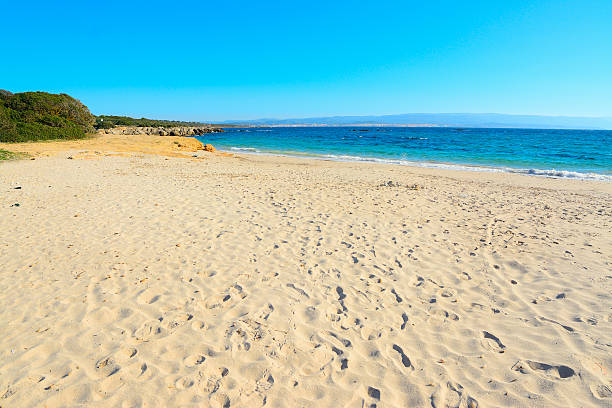 istock lazzaretto beach on a clear spring day 501843438