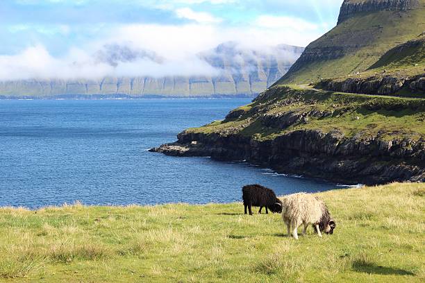 istock The Faro Islands 501843858