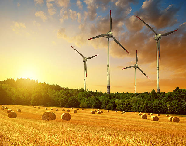 Straw bales with wind turbines on farmland at sunset