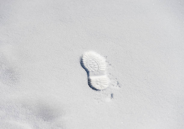 istock Single footprint on the snow 501844884