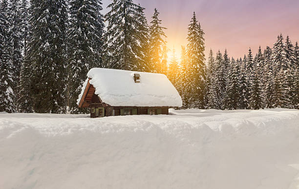 istock Cosy winter scene with snow covered trees in the mountains 501845088