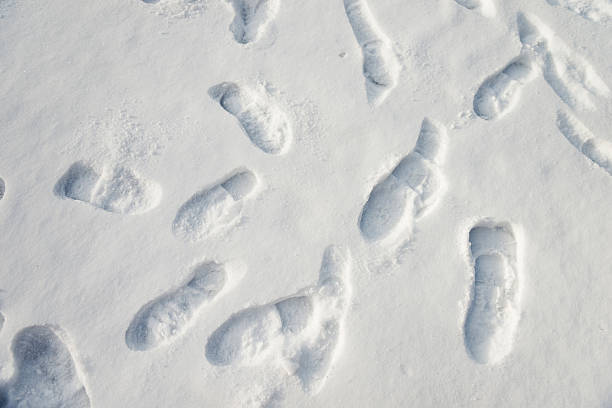 istock Group of footprints in the snow 501845456