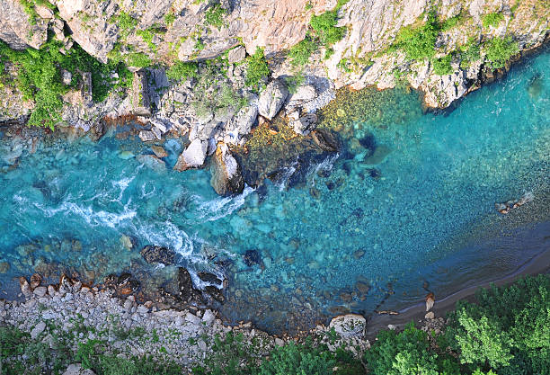 turquoise tara rivière - rafting on a mountain river photos et images de collection