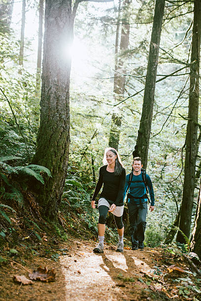 istock Fit Mature Adults on Forest Hike 501847086