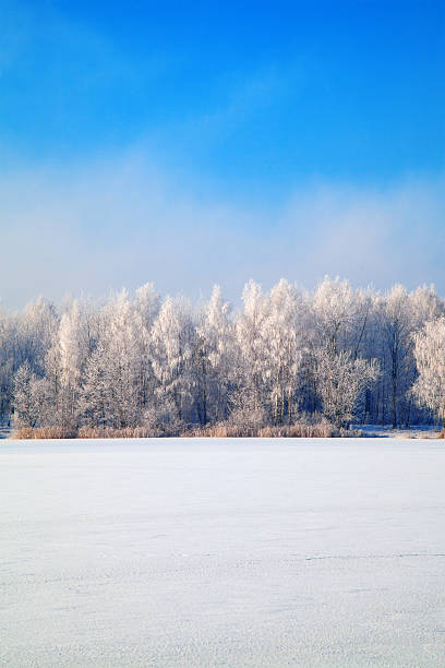 istock Picturesque scenery of winter. 501847308