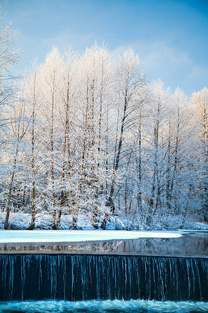 istock Picturesque scenery of winter. 501847546
