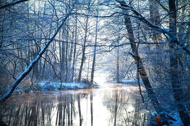 istock Picturesque scenery of winter. 501847602