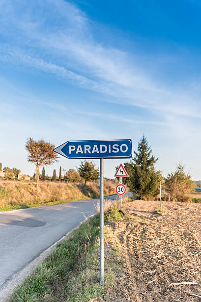istock The road leading to paradise 501849148
