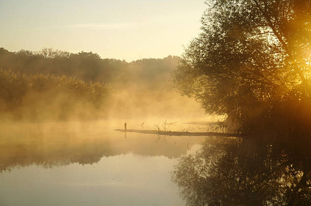 istock Morning landscape with fog on the river 501851462