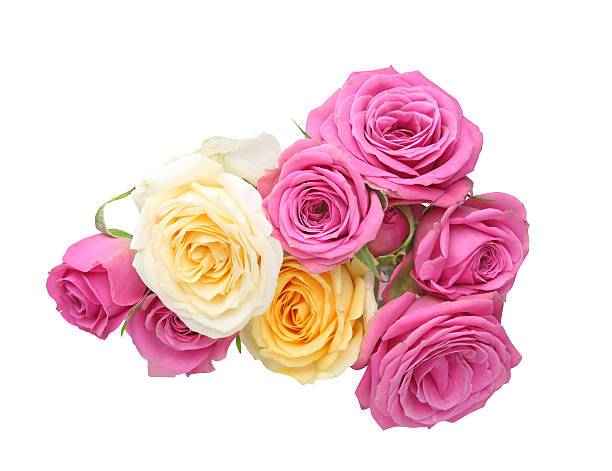 istock Bouquet of roses 501852510