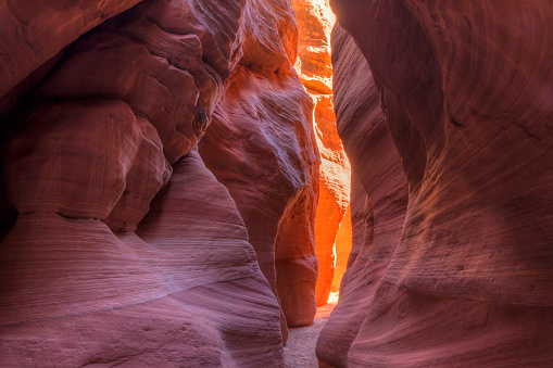 Lush green forest and canyon landscape inside a hiking trail in the majestic Zion National Park. Seen a warm day in the spring in Utah, United States.