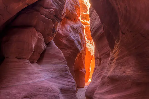 Warm light at an opening in WIre Pass, a narrow slot canyon that feeds into Buckskin Gulch in the Paria Canyon / Vermillion Cliffs WIlderness, near the Utah-Arizona border.