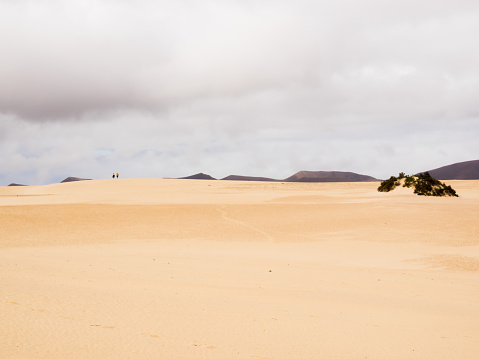 Landscape with dunes near Corralejos  at Fuerteventura, Canary Islands, Spain