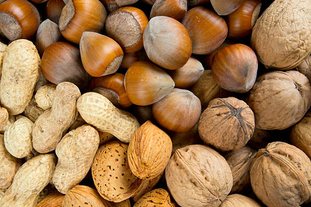 istock collection of shelled nuts 501854300