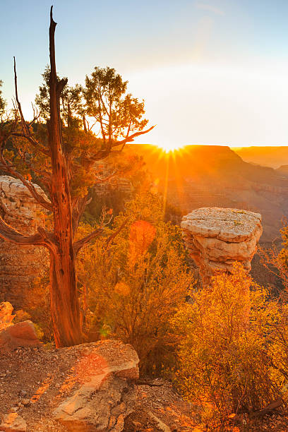 istock Grand Canyon National Park - Sunset 501859265
