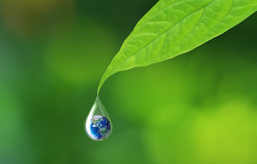 Earth in water drop reflection under green leaf