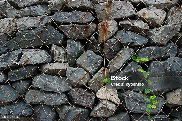 Piante Di Crescita Del Muro Di Pietra - Fotografie stock e altre immagini di Ambientazione esterna - Ambientazione esterna, Arrugginito, Barriera