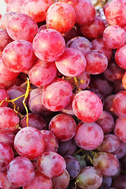 istock red grape fruit - in the market. 501861315