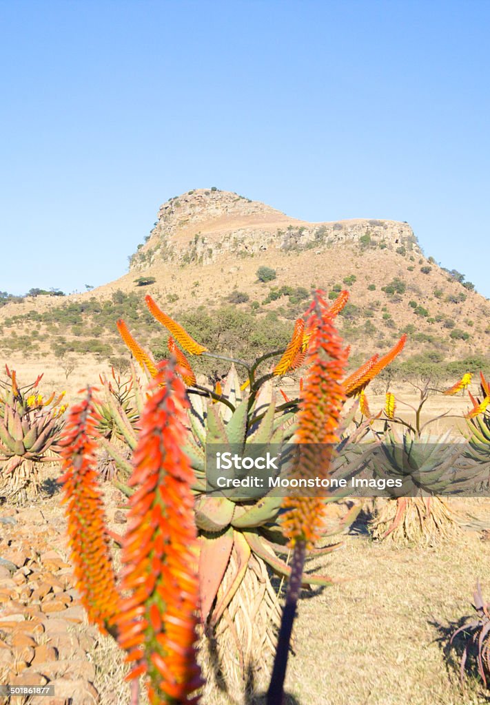 Isandlwana a KwaZulu-Natal, in Sud Africa - Foto stock royalty-free di Affioramento