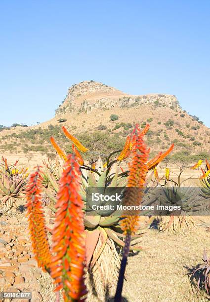 Isandlwana A Kwazulunatal In Sud Africa - Fotografie stock e altre immagini di Affioramento - Affioramento, Africa, Africa meridionale