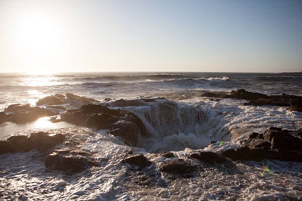 istock Geologic formation on the Oregon coast. 501862091