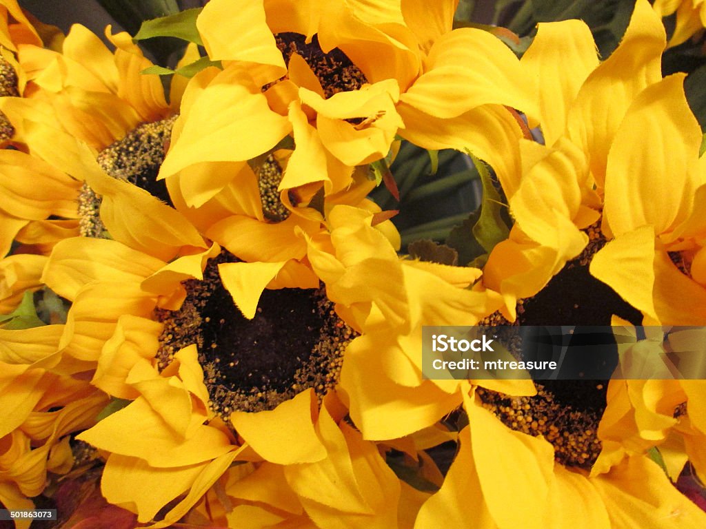 Image of plastic / silk sunflowers (Helianthus annuus) / artificial yellow flowers Photo showing a group of large, yellow, artificial sunflowers.  These fake flowers are made from a combination of plastic and silk, and appear very realistic in their vase. Arrangement Stock Photo