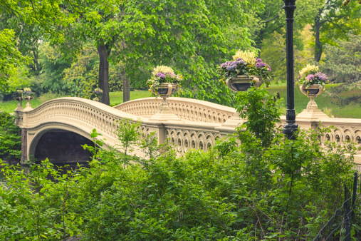 Bow Bridge in Central park