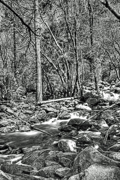 istock Merced tributary near Bridal Veil falls Yosemite 501863391