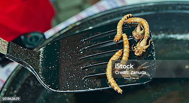 Fried Insect Stock Photo - Download Image Now - Animal, Animal Markings, Brown