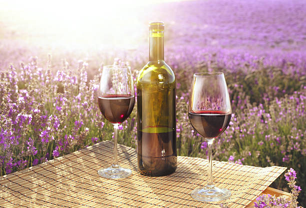 istock Red wine bottle and glass. 501864435