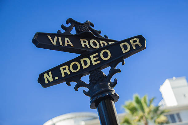 istock Rodeo Drive sign with palm trees in Beverly Hills 501879044