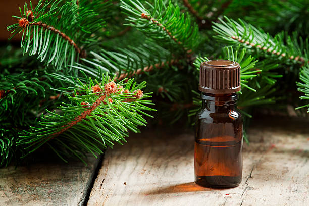 istock Aromatic essential fir oil in a small bottle 501879082