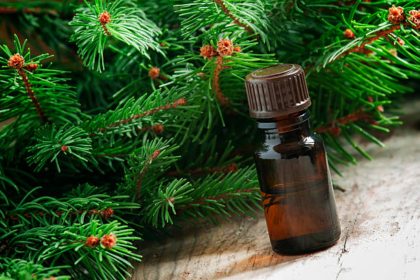 istock Aromatic essential fir oil in a small bottle 501879226
