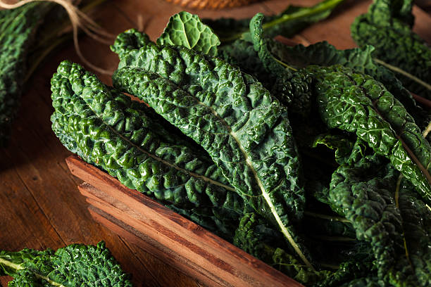 органический зеленый lacinato капуста - kale chard vegetable cabbage стоковые фото и изображения