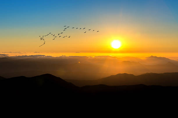 istock Sunrise with beautiful Lens Flare at Deogyusan mountains. 501881648