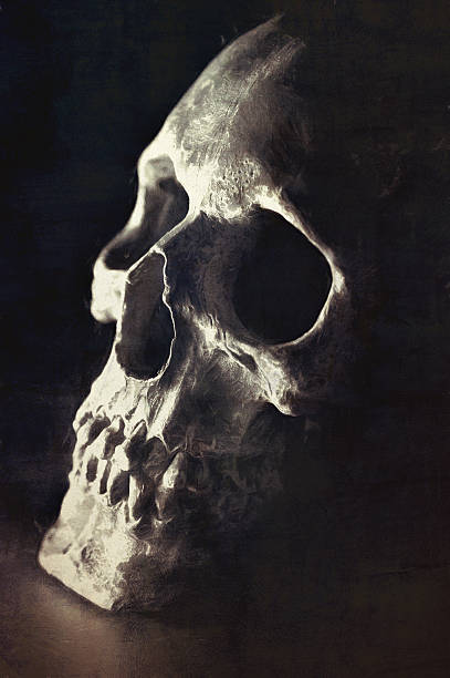 istock Digital art, paint effect, cracked and damaged human skull 501883492
