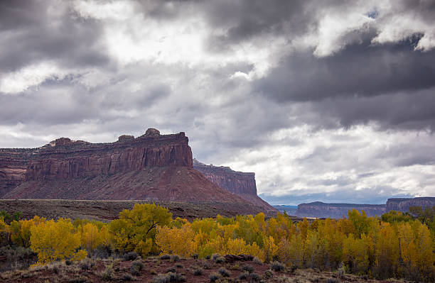 istock Canyonlands National Park 501885740