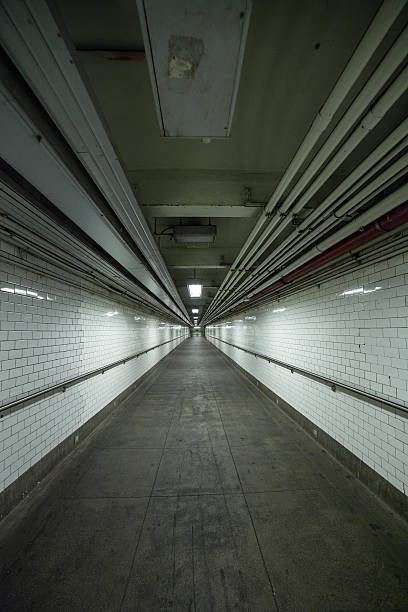istock The tunnel with pipes running overhead. 501886318