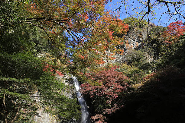 istock Minoh waterfall in autumn, Osaka, Japan 501886548