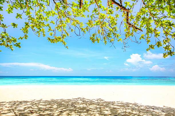 istock Tachai Island beach in Phang nga, Thailand 501887728