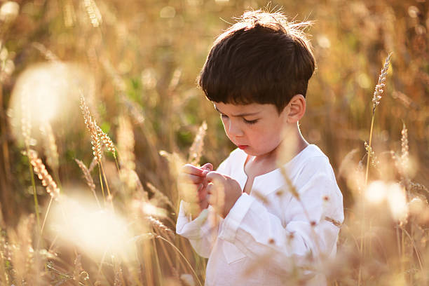 istock child in a field of wheat 501888318