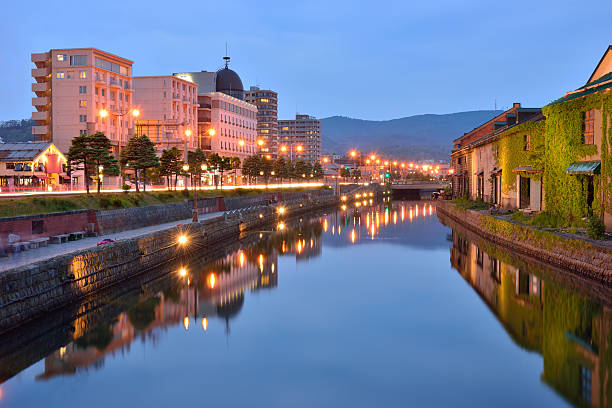 istock Historic Otaru Canal at night scene 501888476