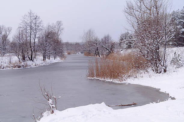 istock Winter of the river 501890156